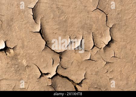 Dry cracked earth background. Closeup of cracked earth Stock Photo