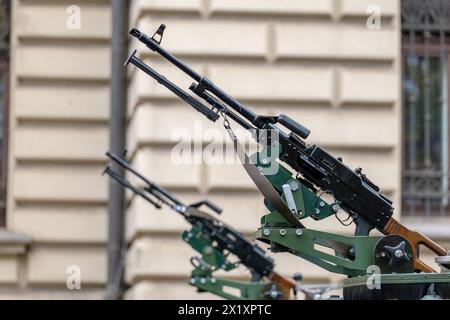 Automatic weapon collection, rifles and machine guns in gun cabinet ...