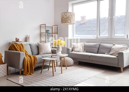 Interior of beautiful living room with sofas, bouquet of narcissus flowers and coffee table Stock Photo