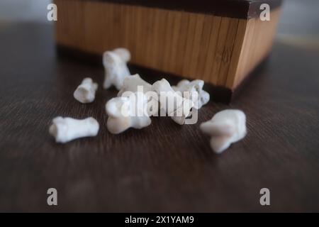 wooden brown box for storing sacred objects of the fortune teller, white animal bones for fortune telling for the future, the concept of magic and iso Stock Photo