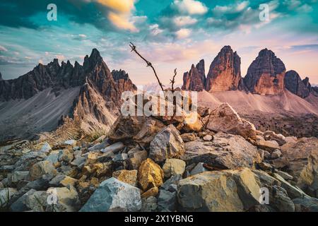 Description: Summit view from Sextner Stein with barbed wire on Monte Paterno and Tre Cime mountain range in the evening. Tre Cime, Dolomites, South T Stock Photo