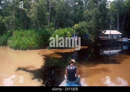 Rainforest along Sekonyer River with contaminated mud from illegal mining mixing with black natural river water, Camp Leakey,  taken in 2003, Tanjung Stock Photo