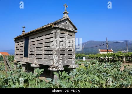 Horreo, Near of Porto do Son, A Coruña province, Galicia, Spain. Stock Photo