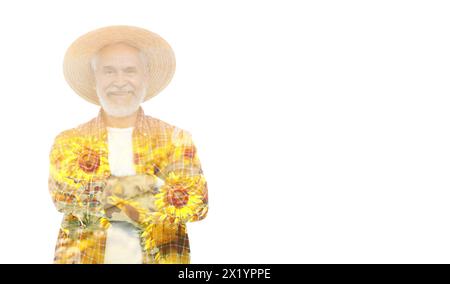 Double exposure of happy farmer and sunflower field on white background Stock Photo