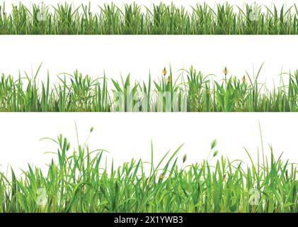 Realistic grass border. Yard turf borders, golf lawn green herbs edging sprout fresh grasses row nature meadow field soccer gazon frame bar, macro 3d herb exact vector illustration Stock Vector