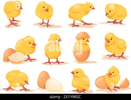 Cartoon hatched chicks. Hatching chick with little wings, baby chicken birth chickens brood easter farm bird cute babies, cartoon hen newborn born in egg neat vector illustration of cartoon chick egg Stock Vector
