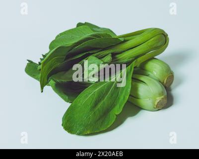 A close-up photo of a variety of fresh Asian greens including bok choy, chinese cabbage, and mustard greens, sitting on a white background. Stock Photo