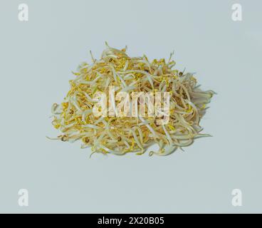 A close-up photo of a pile of mung bean sprouts on a white background. The sprouts are fresh and green, with long, thin white stems and some yellow hu Stock Photo