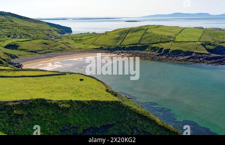 Ireland, County Donegal, Muckross Head Stock Photo