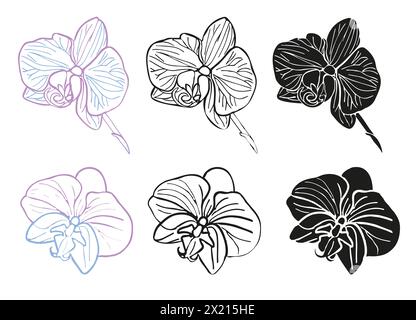 Orchid tropical silhouette, line art flower head set. Vector hand drawn illustration for design of card or invite, logo. Isolated on white background Stock Vector