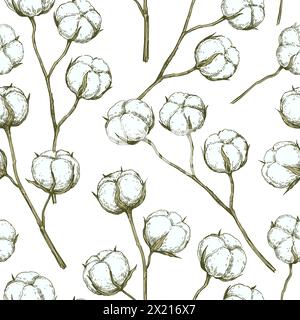 Vector seamless pattern with cotton branches. Hand-drawn ink illustration. Stock Vector