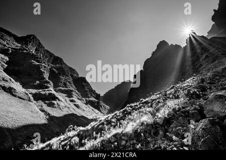 Sun peaks over rocky peaks in mountain valley, Rhino Peak, Garden Castle, Drakensberg, Kwa Zulu Natal, UNESCO World Heritage Site Maloti-Drakensberg, Stock Photo