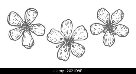 Vector icons of cherry flowers in doodle style. Vector sketch of sakura flowers. Stock Vector