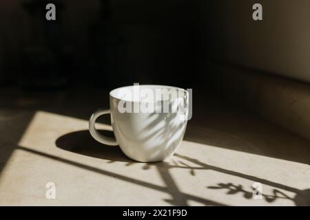 White coffee cup sits on countertop with dramatic shadows Stock Photo