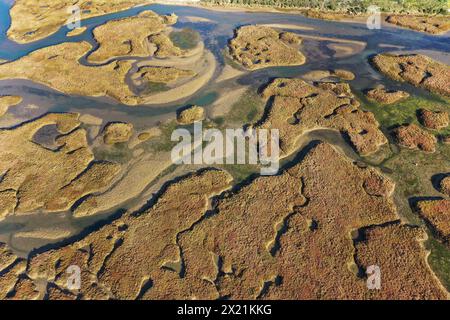 Ria Formosa lagoon with meandering river course at low tide, aerial view, Portugal, Algarve, Parque Natural da Ria Formosa Stock Photo