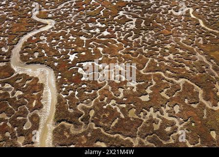 Ria Formosa lagoon with meandering river course at low tide, aerial view, Portugal, Algarve, Parque Natural da Ria Formosa Stock Photo