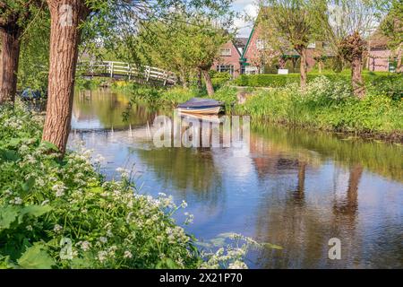 Village view with the Noordeloos, a peat river in the South Holland village of the same name, municipality of Molenlanden (Alblasserwaard region). The photo was taken on a sunny and windless day in early spring. The cow parsley blooms in the foreground. ANP / Hollandse Hoogte / Ruud Morijn netherlands out - belgium out Stock Photo