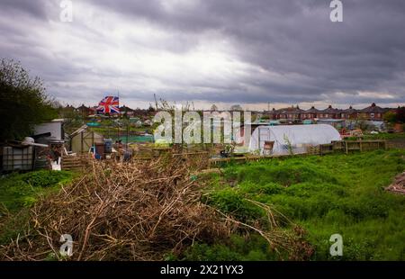 Allotments in Bridlington, East Riding, Yorkshire Stock Photo