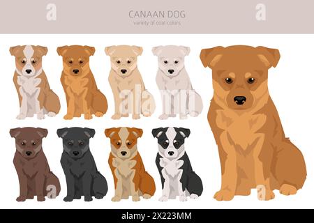 Canaan dog puppy clipart. Different poses, coat colors set.  Vector illustration Stock Vector
