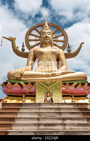 A frontal view of a serene golden Buddha statue with a detailed aura, seated above a lotus base in Koh Samui. Stock Photo