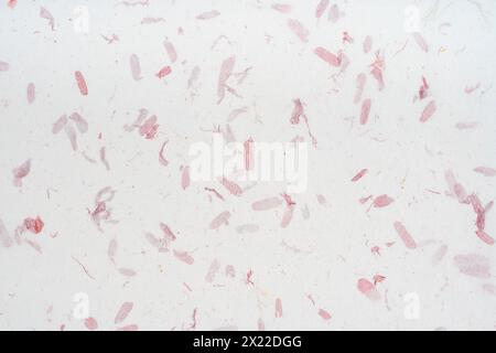 Mulberry paper texture background in close-up. Stock Photo