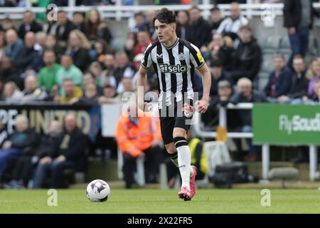 Tino Livramento of Newcastle - Newcastle United v West Ham United, Premier League, St James' Park, Newcastle upon Tyne, UK - 30th March 2024 Editorial Use Only - DataCo restrictions apply Stock Photo