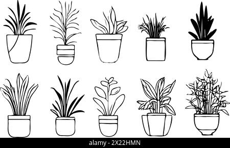 A set of potted plants are drawn in black and white. The plants are of various sizes and shapes, and they are arranged in a row. Concept of order and Stock Vector