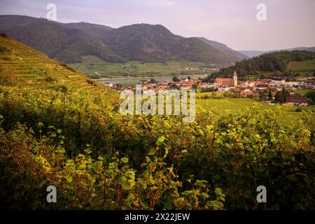 View from the &quot;Red Gate&quot; over grape vines to the parish church of Saint Mauritius in Spitz an der Donau, UNESCO World Heritage Site &quot;Wa Stock Photo