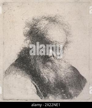 Bust of an old man with flowing beard and white sleeve, c.1630. A  bust-length image of an elderly man with a beard and large forehead, his body facing to the right, while his head is turned to the front. He wears  a garment, of which the left sleeve is left unfinished, hence the common title 'white sleeve' to help distinguish him from his 'brothers' who often wear fur caps. Stock Photo