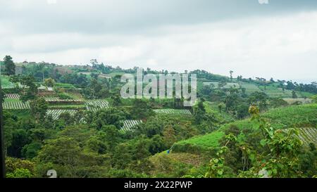 hill landscape with various farms Stock Photo - Alamy