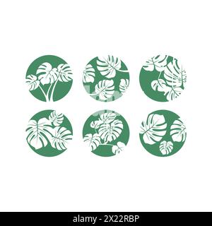 Monstera Leaf Set Bundle Icon. Monstera Vector Illustration Stock Vector