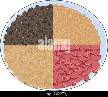 Different types of grains vector illustration Stock Vector