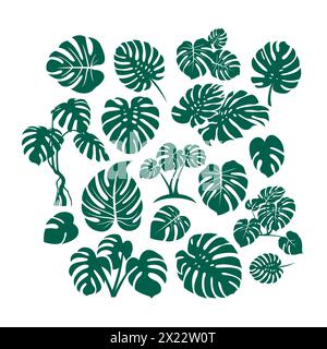 monstera leaf illustration icon set. monstera vector illustration Stock Vector
