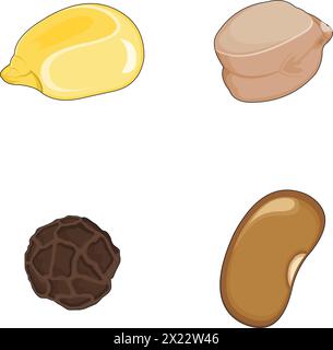 Different types of seed vector illustration Stock Vector