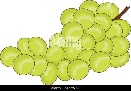 Grapes vector illustration Stock Vector