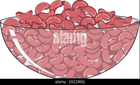 Kidney beans vector illustration Stock Vector