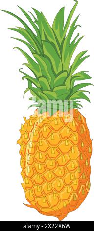 Vector pineapples healthy food Stock Vector