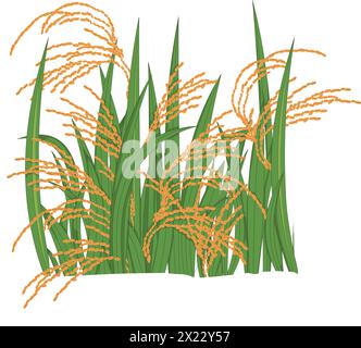 Rice plant cartoon illustration Stock Vector Image & Art - Alamy
