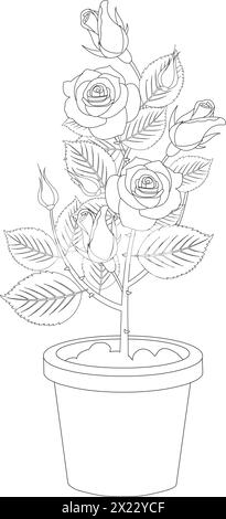 Vector outline of rose plant in a pot Stock Vector