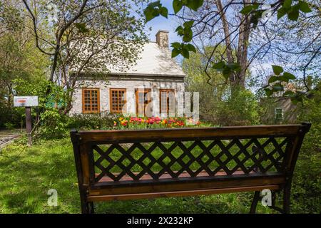 Old circa 1750 Canadiana style fieldstone house facade with brown stained wooden windows, door and Tulipa, Tulips in front yard in spring, Quebec Stock Photo