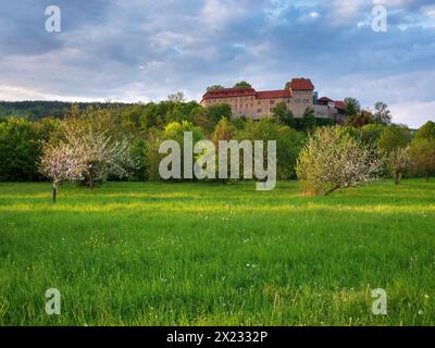 Creuzburg Castle with fruit trees, Creuzburg, Thuringia, Germany Stock ...