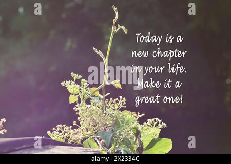 Green nature with motivational and inspirational quote Today is a new chapter in your life, make it a great one. Stock Photo