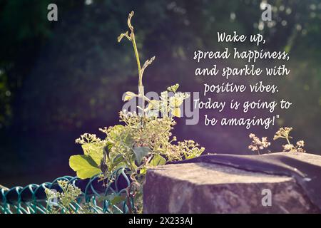 Green nature with motivational and inspirational quote Stock Photo