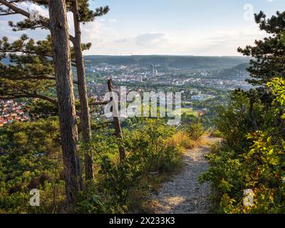 View from Mount Jenzig with hiking trail to the city of Jena in the evening light, Saale Valley, Thuringia, Germany Stock Photo
