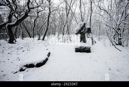 Medieval stone cross in a snow-covered forest in winter, murder cross, atonement cross, Freyburg (Unstrut), Saxony-Anhalt, Germany Stock Photo