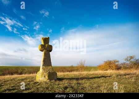 Medieval stone cross, murder cross, atonement cross, Freyburg (Unstrut), Saxony-Anhalt, Germany Stock Photo