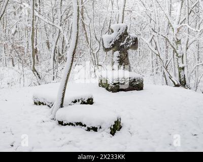 Medieval stone cross in a snow-covered forest in winter, murder cross, atonement cross, Freyburg (Unstrut), Saxony-Anhalt, Germany Stock Photo