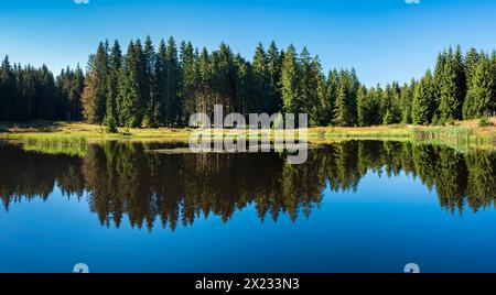 Small lake in the Thuringian Forest, spruce forest reflected, Thuringia, Germany Stock Photo