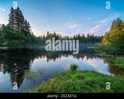 Small lake in the Thuringian Forest in the morning light, spruce forest reflected, Thuringia, Germany Stock Photo