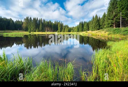 Small lake in the Thuringian Forest, spruce forest reflected, Thuringia, Germany Stock Photo
